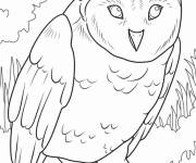Coloriage Chouette assise dans la foret