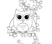 Coloriage Chouette au grands cils