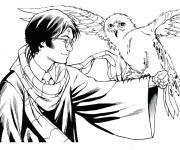 Coloriage Chouette avec Harry Potter