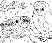 Coloriage Chouette avec ses petits pendant l'hiver