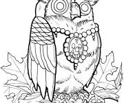 Coloriage Chouette avec un m&eacute;daillon