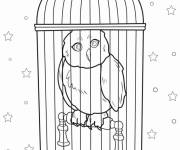 Coloriage Chouette dans la cage