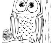 Coloriage Chouette dans la nature