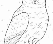 Coloriage Chouette d&eacute;taill&eacute; avec des flocons de neige