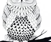 Coloriage Chouette difficile magique