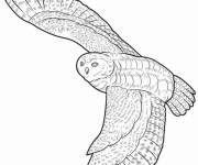 Coloriage Chouette effraie volant avec de grandes ailes