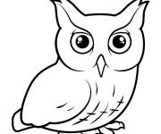 Coloriage Chouette en couleur