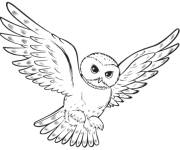 Coloriage Chouette en volant