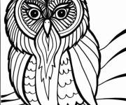 Coloriage Chouette maternelle