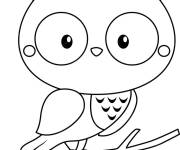 Coloriage Chouette mignon gratuit