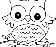 Coloriage Chouette ou hibou