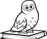 Coloriage Chouette sage aime les livres
