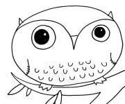 Coloriage Chouette simple