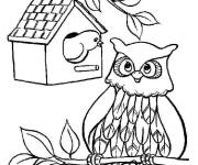 Coloriage Chouette sur une bronche d'arbre