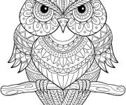 Coloriage et dessins gratuit Dessin de chouette magique à imprimer