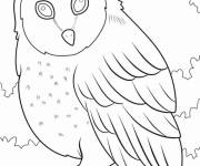 Coloriage Gros chouette
