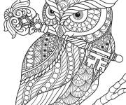 Coloriage et dessins gratuit Hibou avec un clés magique à imprimer