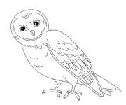 Coloriage Portrait d'une chouette