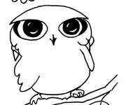 Coloriage Simple petit chouette au crayon