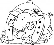 Coloriage Cochon dr&ocirc;le