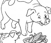 Coloriage Cochon et bébé