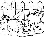 Coloriage Cochons qui mangent