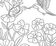 Coloriage Amis colibris ail&eacute;s