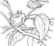 Coloriage Ariane de F&eacute;licie sur le nid