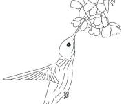 Coloriage Au vol sous une fleur