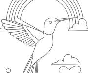 Coloriage Aventure Colibri sous arc-en-ciel
