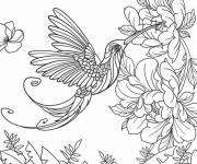 Coloriage Beau colibri en forme de Paon