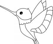 Coloriage B&eacute;b&eacute; colibri mignon