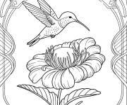 Coloriage B&eacute;b&eacute; colibri planant au-dessus d'une grande fleur