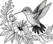 Coloriage Branche fleuri et Colibri vectoriel