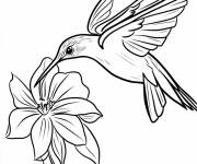 Coloriage Chibi Colibri sur une fleur