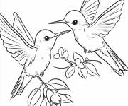 Coloriage Chibi Colibris