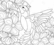Coloriage colibri &agrave; dessiner en rouge et en vert