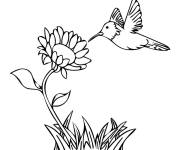 Coloriage Colibri a enfin trouv&eacute; de la nourriture