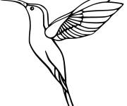 Coloriage et dessins gratuit Colibri &agrave; gorge rubis tout simple à imprimer