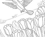 Coloriage Colibri &agrave; la poursuite des p&eacute;tales