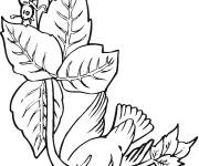 Coloriage Colibri abeille sur une branche