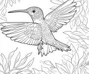 Coloriage colibri adulte de Jungle
