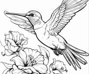Coloriage Colibri ailes d&eacute;ploy&eacute;s pour enfants
