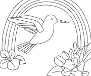 Coloriage Colibri arc-en-ciel fleuri