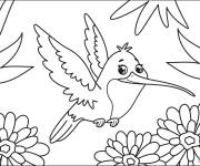 Coloriage Colibri au beaux yeux