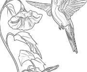 Coloriage Colibri au matin