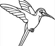 Coloriage Colibri au regard confiant