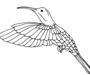 Coloriage Colibri au vol pour ce1