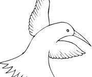 Coloriage Colibri au vol pour enfants