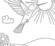 Coloriage Colibri aux ailes chaudes